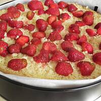 Biszkopt mocno truskawkowy.