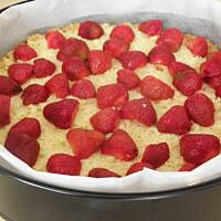 Biszkopt mocno truskawkowy.