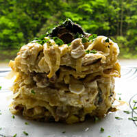 Lasagne grzybowo-serowa