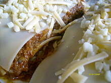 Fot. pwyso, "Lasania" a la Garfield