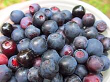 Fot. olusia23, Muffinki z jagodami