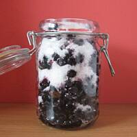 jagody z cukrem na zimę