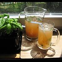 Lemoniada z rabarbarem i bazylią