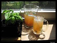 Fot. Tomek gotuje, Lemoniada z rabarbarem i bazylią