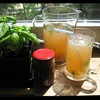 Lemoniada z rabarbarem i bazylią