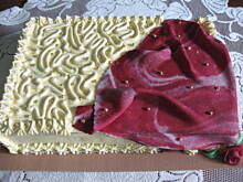 Fot. jagus, Tort Jaguski