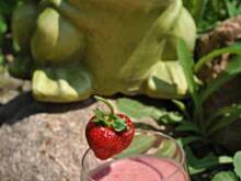 Fot. smerfetka79, Koktajl na upały i emocjonujące rozgrywki