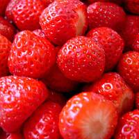 Mus z Kaszy Manny z truskawkami