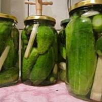 Ogórki kiszone