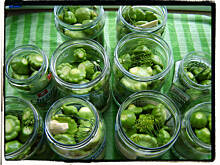 Fot. ania5825, Marynowane Patisony