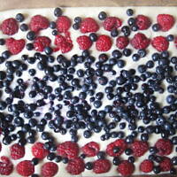 Ciasto jogurtowe z malinami i jagodami