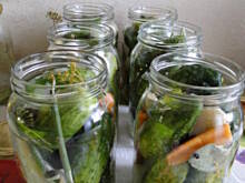 Fot. IgaZet, Ogórki korniszone