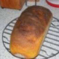 Bułka wrocławska z puree kukurydzianym