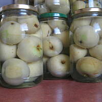 Kompot z całych papierówek