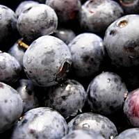 Kluski parowane z sosem jagodowym.