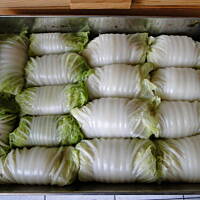 Gołąbki w pekińskiej