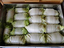 Fot. IgaZet, Gołąbki w pekińskiej