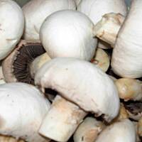 Tradycyjny Bigos - Mój