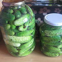 Ogórki kiszone
