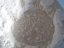 Fot. MonikaMariolka, Ciasto na pizzę