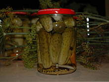 Fot. MED, Ogórki konserwowe