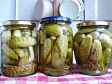 Fot. Anna Z, Ogórki konserwowe