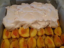 Fot. megi65, Pleśniak z brzoskwiniami