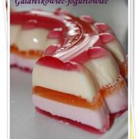 Galaretkowiec-jogurtowiec