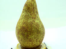 Fot. przejs, Karmelizowane gruszki waniliowo-cytrynowe