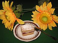 Fot. Ju$tysia222, Delikatne ciasto śliwkowo budyniowe