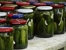 Fot. Anai, Ogórki kiszone