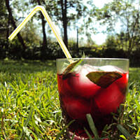 Karkade, Agua de Jamaica, Hibiskus Ice Tea...