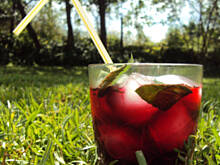 Fot. przejs, Karkade, Agua de Jamaica, Hibiskus Ice Tea...