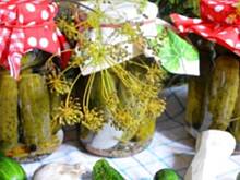 Fot. makusia, Korniszony