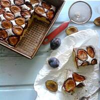 Waniliowo - kakaowe ciasto ze śliwkami