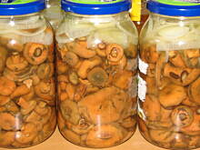 Fot. kamojsa, RYDZE marynowane z miodem