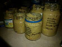 Fot. Wróbelek, cielęcina z fasolą szparagową marchewą, pietruszka i ziemniakiem (po 7 m-cu)