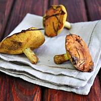 Oscypkowe placuszki z sosem ze świeżych maślaków