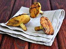 Fot. MIENTA, Oscypkowe placuszki z sosem ze świeżych maślaków