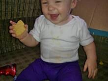 Fot. Wróbelek, ciasteczka marchewkowe (po 8 miesiącu)