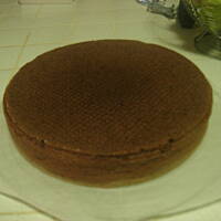 biszkopt czekoladowy