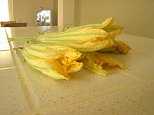 Fot. dziulka, placuszki z kwiatami dyni