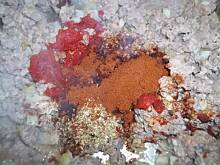 Fot. BeatrisL, A'la placek po węgiersku z cukinią