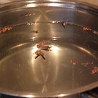 Gruszki w syropie 2.