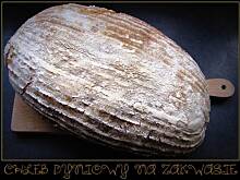 Fot. marialeksandra, Chleb dyniowy z zakwasem