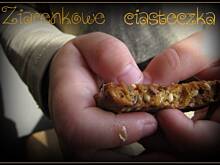 Fot. marialeksandra, Ciemne ciasteczka ziarenkowe