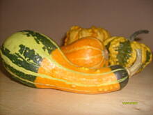 Fot. pwyso, Suplementy diety - jesień idzie