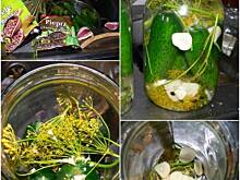 Fot. DZASTI, Kiszone ogórki