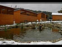 Fot. Mama - Różyczki, Zapraszam ponownie:)