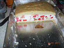 Fot. Beti., śmietanowiec  beti